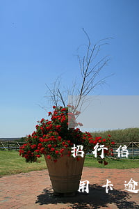 招行信用卡逾期多久要繳納滯納金-招行信用卡逾期多久要繳納滯納金呢
