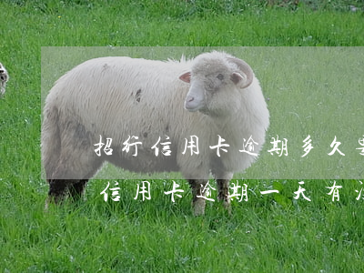 招行信用卡逾期多久要缴纳滞纳金(招商银行信用卡逾期一天有没有影响?)