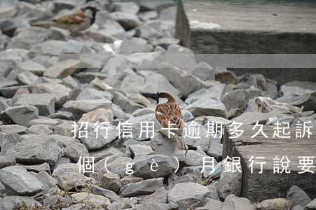 招行信用卡逾期多久起訴(招商信用卡逾期四個(gè)月銀行說要起訴我了)