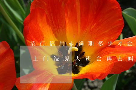招行信用卡逾期多少才会上门(招商银行逾期上门没见人 还会再去吗)