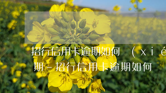 招行信用卡逾期如何協(xié)商重新分期-招行信用卡逾期如何協(xié)商重新分期還款