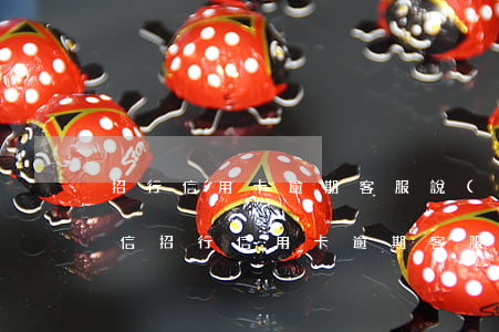 招行信用卡逾期客服說(shuō)不上征信（招行信用卡逾期客服說(shuō)不上征信）