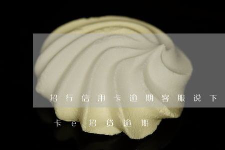招行信用卡逾期客服说下午5(招商银行信用卡e招贷逾期)