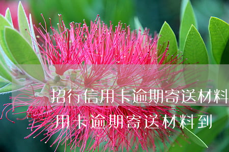 招行信用卡逾期寄送材料到戶籍地-招行信用卡逾期寄送材料到戶籍地怎么辦
