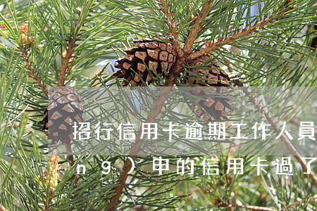 招行信用卡逾期工作人員上門(招行網(wǎng)申的信用卡過了,業(yè)務(wù)員上門的沒過)