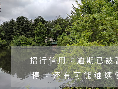 招行信用卡逾期已被暂停服务(招商银行逾期停卡还有可能继续使用吗)