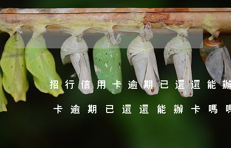 招行信用卡逾期已還還能辦卡嗎-招行信用卡逾期已還還能辦卡嗎嗎