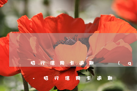 招行信用卡逾期幾個(gè)月欠款比較多-招行信用卡逾期幾個(gè)月欠款比較多怎么辦