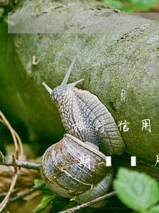 招行信用卡逾期幾個月了(招商銀行信用卡逾期兩個月要起訴我真的么)