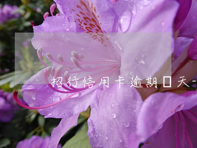招行信用卡逾期幾天-招行信用卡逾期兩天