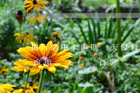 招行信用卡逾期幾天付利息(招商銀行信用卡逾期一天有沒有影響?)