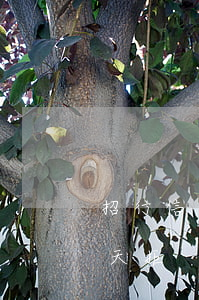 招行信用卡逾期幾天封卡(招行信用卡一般幾天拒)