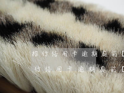 招行信用卡逾期庭前調(diào)解-招行信用卡逾期庭前調(diào)解