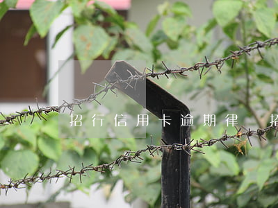 招行信用卡逾期律師(招行信用卡逾期律師)