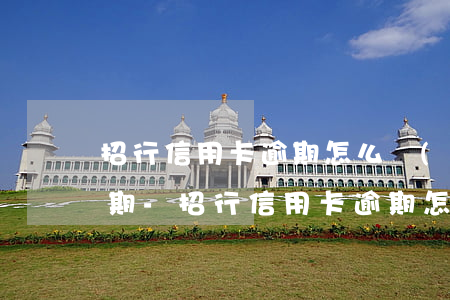 招行信用卡逾期怎么協(xié)商本金分期-招行信用卡逾期怎么協(xié)商本金分期還款
