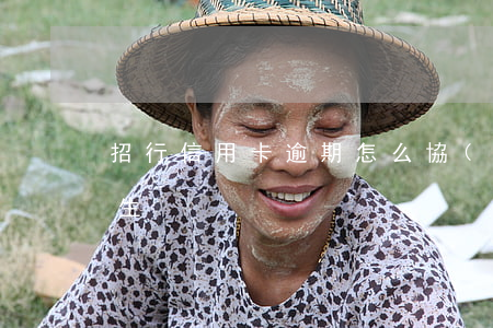 招行信用卡逾期怎么協(xié)商還款民生