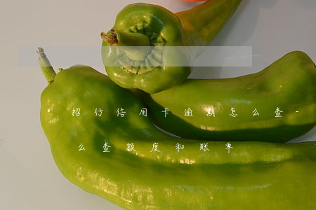 招行信用卡逾期怎么查-招行信用卡逾期怎么查额度和账单