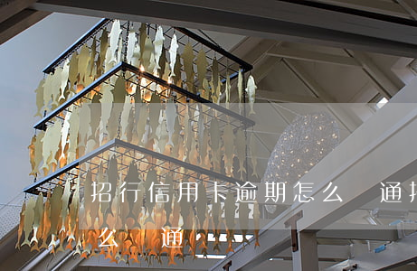 招行信用卡逾期怎么溝通(招行信用卡逾期怎么溝通)
