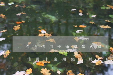 招行信用卡逾期怎么補(bǔ)救(招商銀行信用卡逾期銀行報(bào)案了該怎么辦)