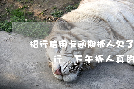 招行信用卡逾期抓人(欠了招商銀行信用卡5萬銀行說下午抓人真的嗎)