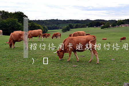 招行信用卡 逾期（招行信用卡逾期協(xié)議）