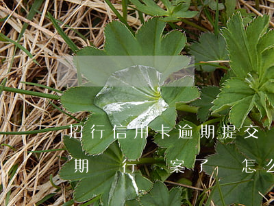 招行信用卡逾期提交資料(招商銀行信用卡逾期銀行報案了該怎么辦)