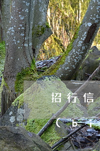 招行信用卡逾期收費(招行信用卡逾期收費標(biāo)準(zhǔn))
