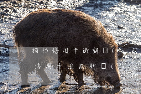 招行信用卡逾期時(shí)間(2020年信用卡逾期新規(guī)定招商銀行)