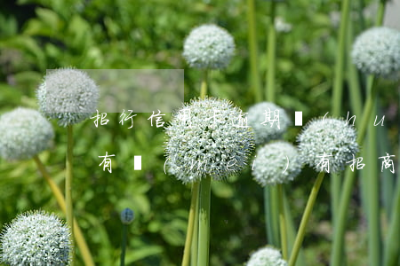 招行信用卡逾期會(huì)在銀行卡扣不 有沒(méi)有招商銀行信用卡逾期的