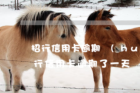 招行信用卡逾期會(huì)坐牢不(招商銀行信用卡逾期了一天會(huì)不會(huì)影響信用)