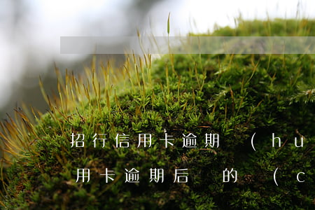 招行信用卡逾期會(huì)有什么(招行信用卡逾期后辦的儲(chǔ)蓄卡)
