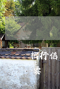 招行信用卡逾期會凍結配偶卡嗎(招商銀行說要凍結配偶信用卡)