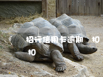 招行信用卡逾期會扣錢-招行信用卡逾期會扣錢嗎