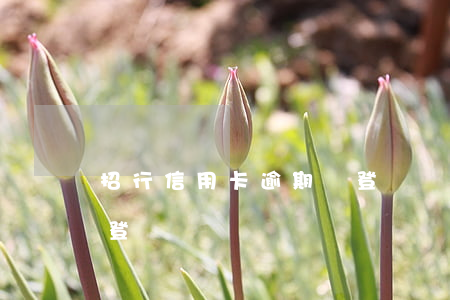 招行信用卡逾期會登門嗎(招行信用卡逾期會登門嗎)