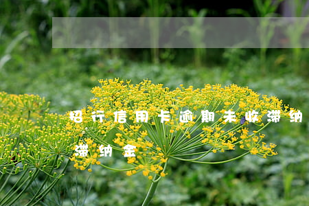 招行信用卡逾期未收滞纳金(招行晚4天还款滞纳金)