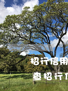 招行信用卡逾期次數(shù)怎么查(怎么查招行信用卡到期日期)