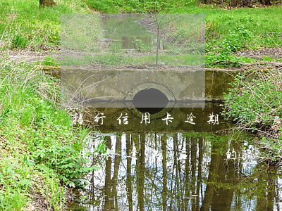 招行信用卡逾期沒(méi)有提醒(招行信用卡逾期后辦的儲(chǔ)蓄卡)