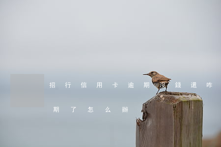 招行信用卡逾期沒錢還咋辦(沒錢還信用卡逾期了怎么辦)