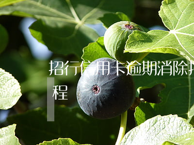 招行信用卡逾期消除(招行信用卡逾期消除流程)
