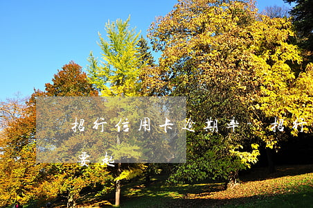招行信用卡逾期率-招行信用卡6萬逾期說要起訴