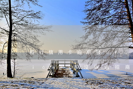 招行信用卡逾期發(fā)信息讓我聯(lián)系(沒辦過招商銀行信用卡怎么收到短信逾期了)