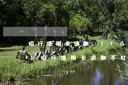 招行信用卡逾期發(fā)函(當(dāng)招行信用卡逾期不打電話了)