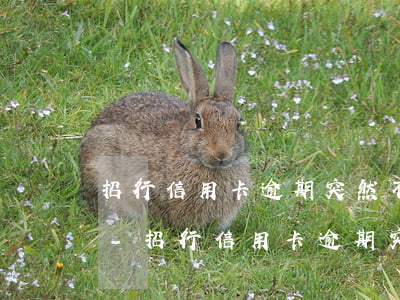 招行信用卡逾期突然不打電話(huà)了-招行信用卡逾期突然不打電話(huà)了為什么
