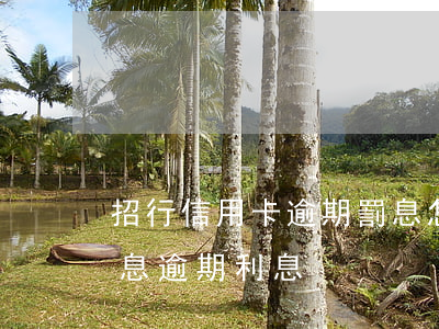 招行信用卡逾期罰息怎么算的 信用卡 逾期罰息 逾期利息