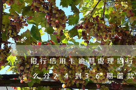 招行信用卡 逾期處理(招行信用卡逾期處理怎么分24到36期還款)