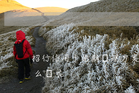 招行信用卡逾期處理方案(招商信用卡逾期怎么辦呢)