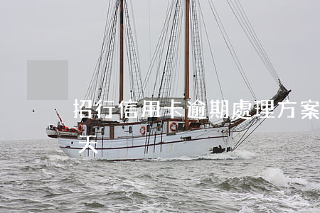 招行信用卡逾期處理方案(招行信用卡逾期兩天)