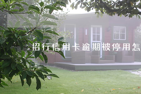 招行信用卡逾期被停用怎么辦