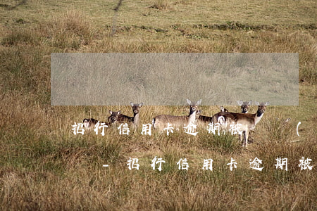 招行信用卡逾期被凍結(jié)了怎么解凍-招行信用卡逾期被凍結(jié)了怎么解凍呢
