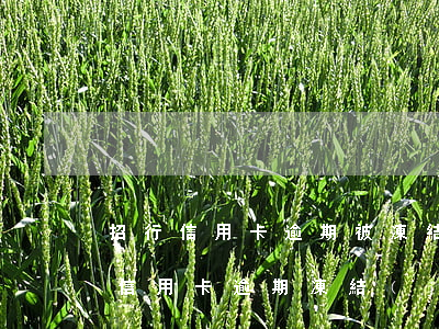 招行信用卡逾期被凍結(jié)(招商銀行信用卡逾期凍結(jié)了怎么辦如何解凍)